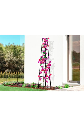 Suporte para roseira - 200 cm