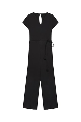 Mono - Negro