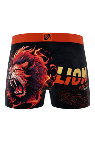 4 boxers Wild Animals - Orange et noir