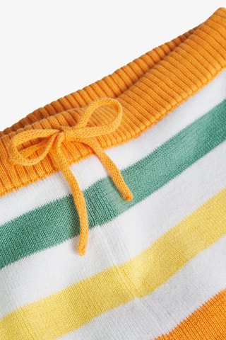 Short  - Multicolor