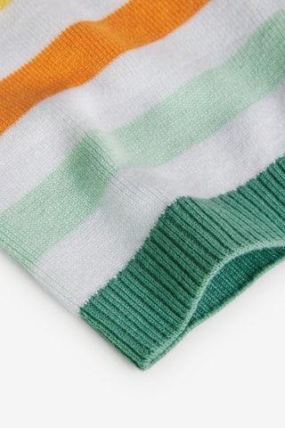 Short  - Multicolor