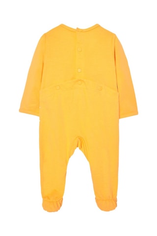 Kruippakje  - Geel en multicolor