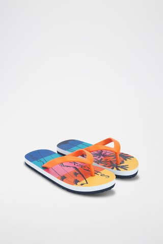 Muiltjes  - Multicolor