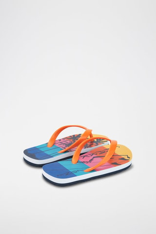 Muiltjes  - Multicolor