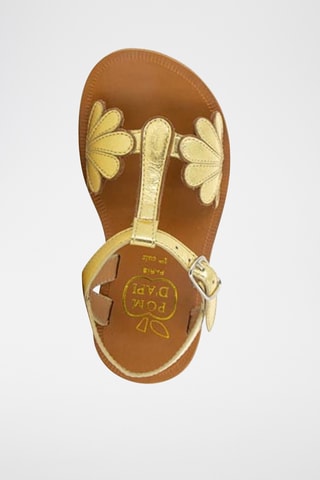 Sandálias em couro Plagette Bloom - Dourado