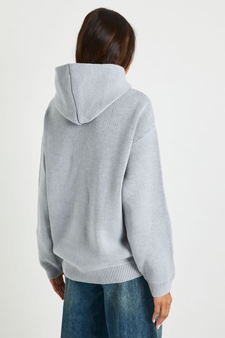 Sweat à capuche - Gris