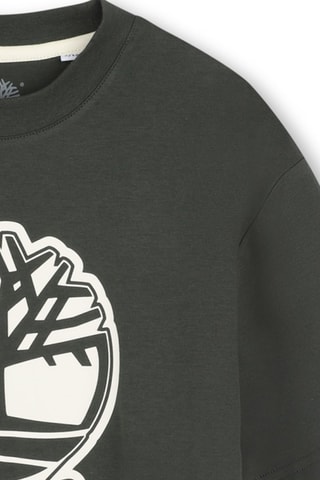 Camiseta - Verde