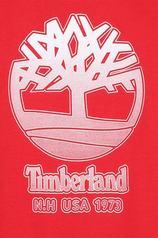 Camiseta - Rojo