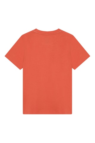 Camiseta - Naranja - Timberland