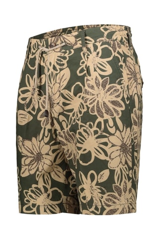 Bermuda - Beige, vert et marron