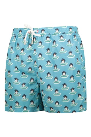 Zwemshort - Wit, blauw en groen