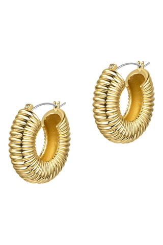 Argolas The Ra - Banhado a ouro amarelo