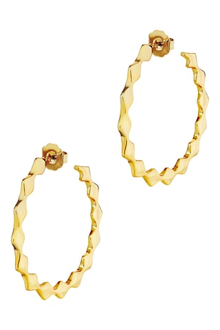 Argolas The Twiggy - Banhado a ouro amarelo