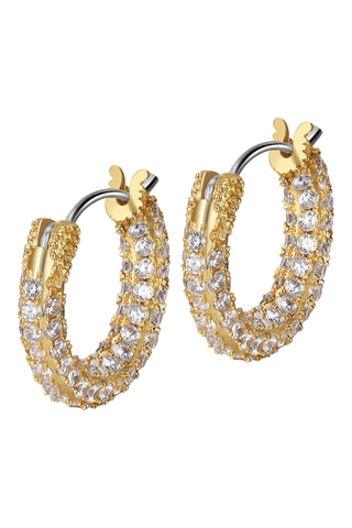 Argolas Lila - Banhado a ouro amarelo