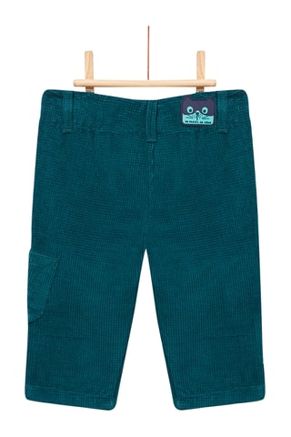 Velours Broek - Pauwblauw
