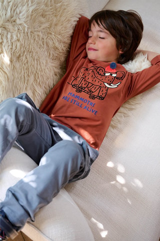 T-shirt met Mammoetmotief - Bruin