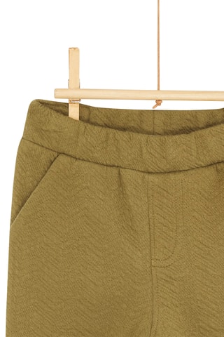 Broek - Groen