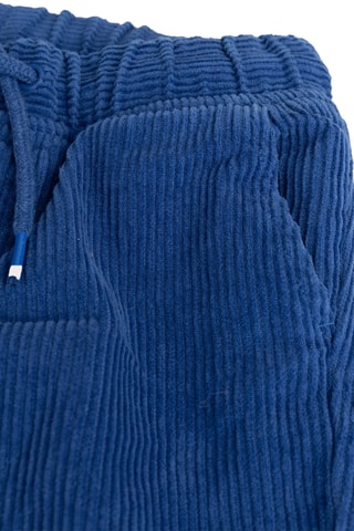 Velours Broek - Blauw