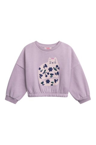 Sweater - Lichtpaars