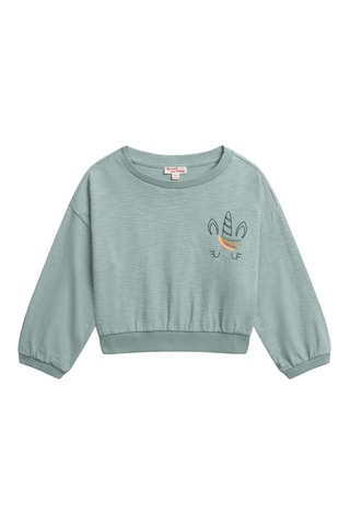 Sweater - Gemêleerd Lichtgroen