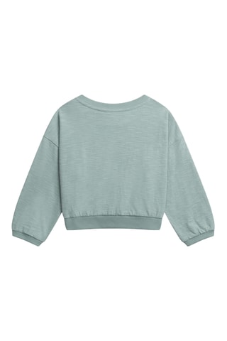 Sweater - Gemêleerd Lichtgroen