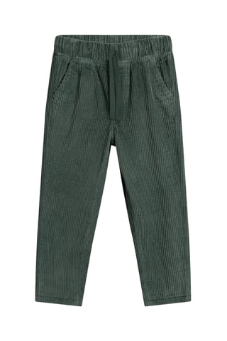 Velours Broek - Donkergroen