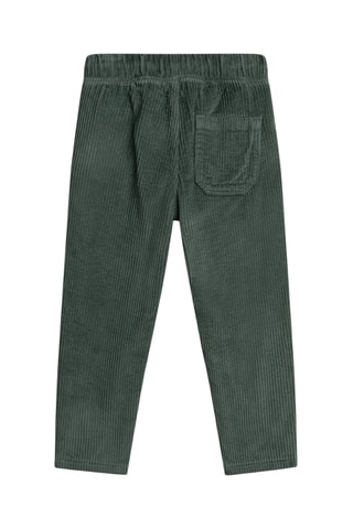 Velours Broek - Donkergroen
