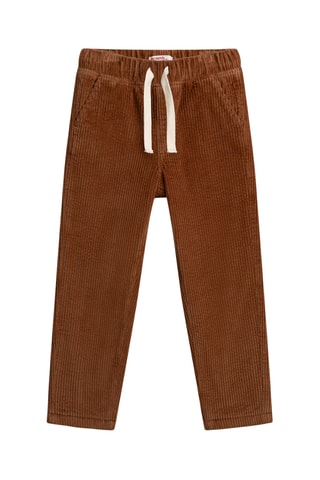 Velours Broek - Bruin