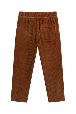 Velours Broek - Bruin