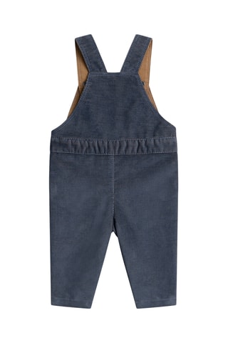 Velours Tuinbroek - Blauwgrijs