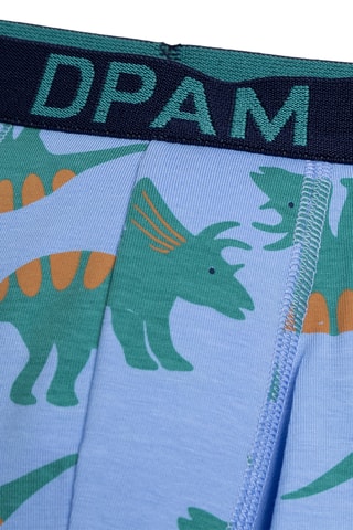 5 Boxers - Lichtblauw en Groen