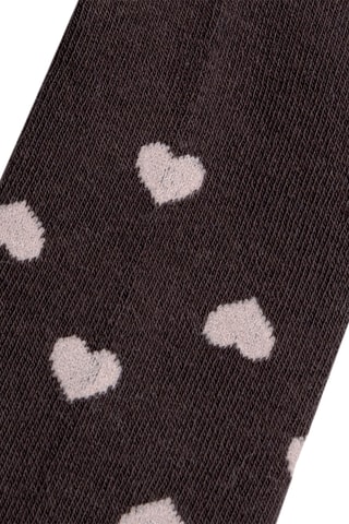 Panty - Bruin
