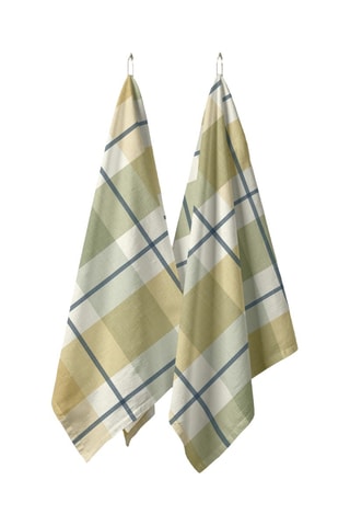 2 torchons - Vert et blanc