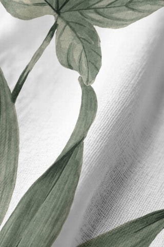 2 serviettes de table antitache - Blanc et vert