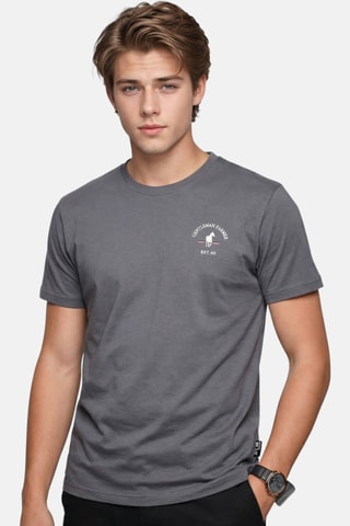 T-shirt - Cinzento