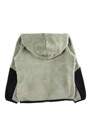 Conjunto - Caqui