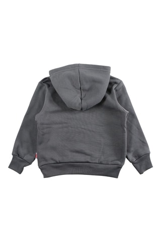 Sweat com capuz - Cinzento