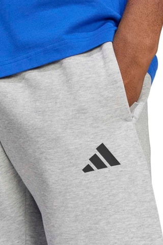 Pantalon regular d’entraînement Future Icons - Gris