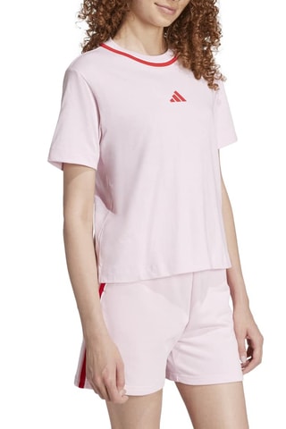T-shirt regular Seasonals - Rose