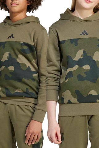 Sweat d'entraînement à capuche Seasonals - Kaki