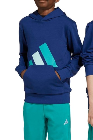 Felpa da training con cappuccio Essentials - Blu