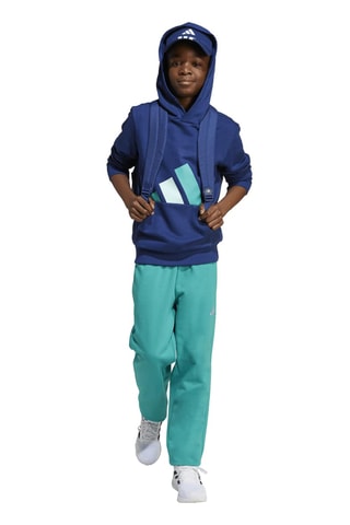 Felpa da training con cappuccio Essentials - Blu