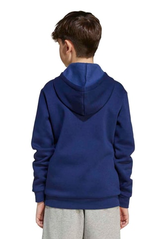 Felpa con cappuccio Seasonals - Blu elettrico