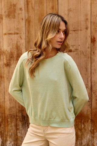 Jersey Mendel - Verde claro