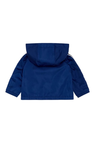 Veste à capuche - Bleu électrique - Emporio Armani
