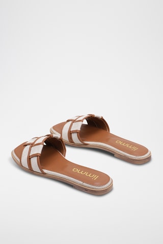 Mules - Camel