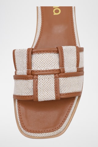 Mules - Camel
