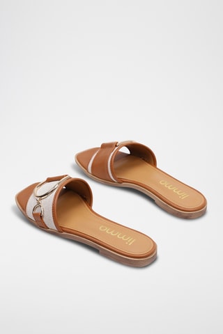 Mules - Camel