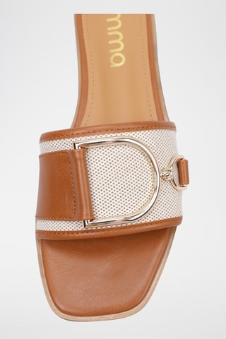 Mules - Camel