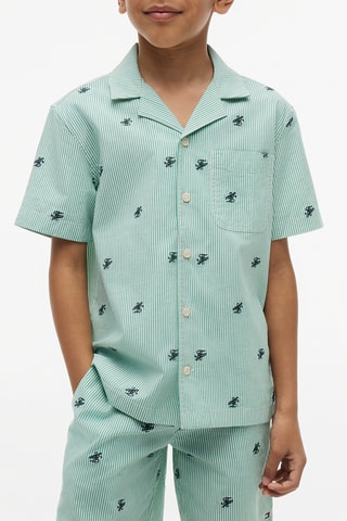 Chemise en coton biologique - Vert clair et blanc